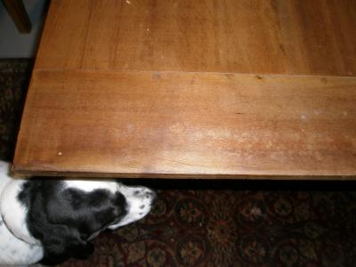 Custom Built Tables in MD